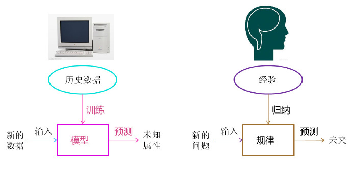 图3  机器学习与人类思考的类比